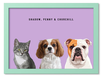 Custom Three Pet Portrait Coloured Frame Print (Mint Green): Shadow the grey tabby cat & Penny the Cavalier King Charles Spaniel & Churchill the English Bulldog on a Orchid background. [ks Frame Colour=Mint Green; Background=Orchid]