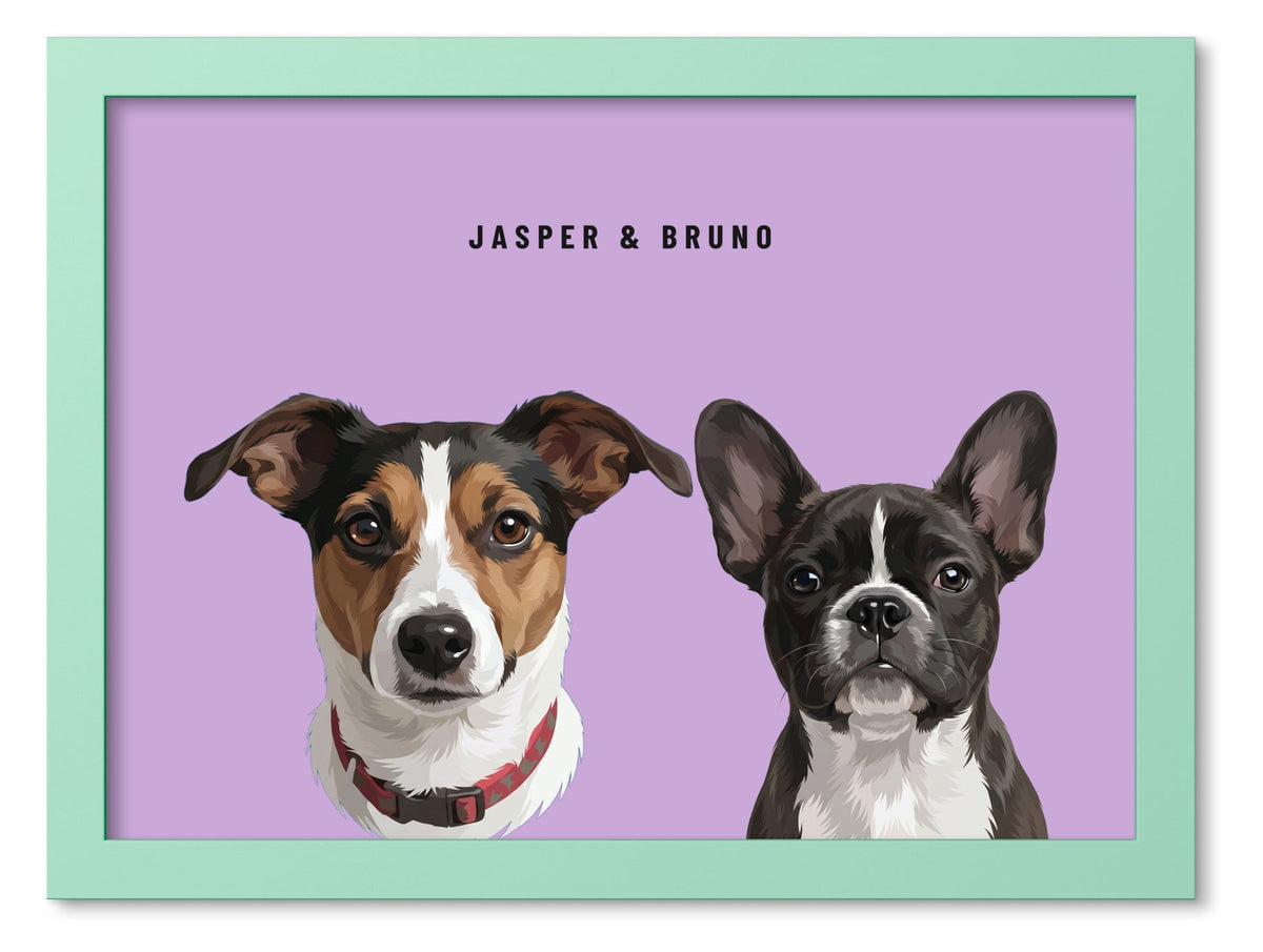 Custom Two Pet Portrait Coloured Frame Print (Mint Green): Jasper the Jack Russell Terrier & Bruno the French Bulldog on a Orchid background. [ks Frame Colour=Mint Green; Background=Orchid]