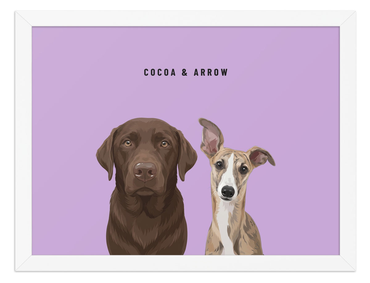 Custom Two Pet Portrait Framed Print (White): Cocoa the chocolate Labrador & Arrow the Whippet on a Orchid background. [ks Frame=White; Background=Orchid]