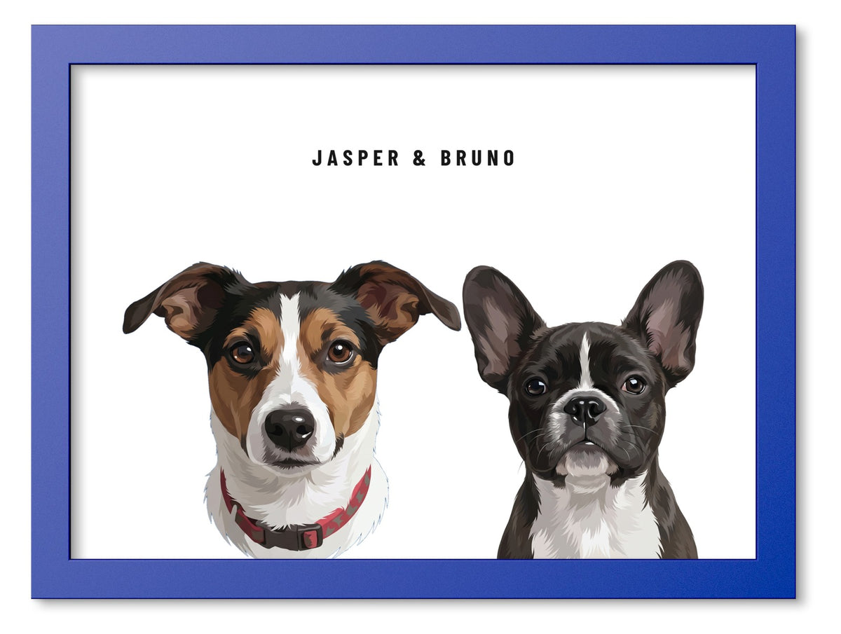 Custom Two Pet Portrait Coloured Frame Print (Ocean Blue): Jasper the Jack Russell Terrier & Bruno the French Bulldog on a White background. [ks Frame Colour=Ocean Blue; Background=White]