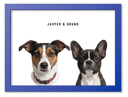 Custom Two Pet Portrait Coloured Frame Print (Ocean Blue): Jasper the Jack Russell Terrier & Bruno the French Bulldog on a White background. [ks Frame Colour=Ocean Blue; Background=White]