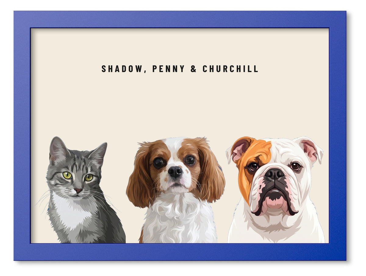 Custom Three Pet Portrait Coloured Frame Print (Ocean Blue): Shadow the grey tabby cat & Penny the Cavalier King Charles Spaniel & Churchill the English Bulldog on a Cream background. [ks Frame Colour=Ocean Blue; Background=Cream]
