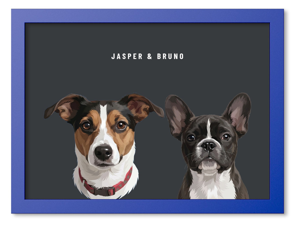 Custom Two Pet Portrait Coloured Frame Print (Ocean Blue): Jasper the Jack Russell Terrier & Bruno the French Bulldog on a Charcoal background. [ks Frame Colour=Ocean Blue; Background=Charcoal]