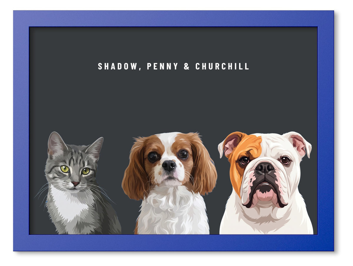 Custom Three Pet Portrait Coloured Frame Print (Ocean Blue): Shadow the grey tabby cat & Penny the Cavalier King Charles Spaniel & Churchill the English Bulldog on a Charcoal background. [ks Frame Colour=Ocean Blue; Background=Charcoal]