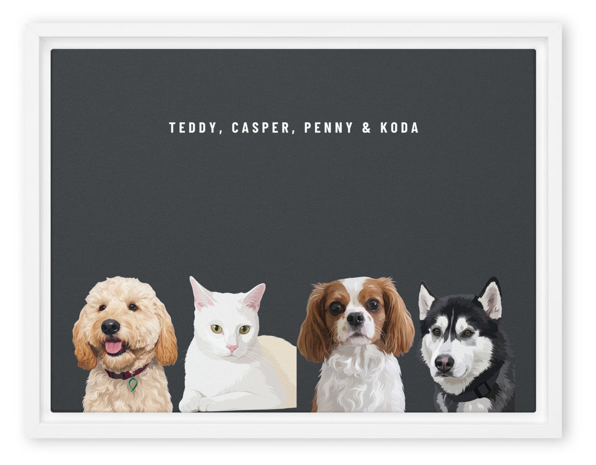 Custom Four Pet Portrait Canvas (White Framed Canvas): Teddy the Goldendoodle & Casper the white cat & Penny the Cavalier King Charles Spaniel & Koda the Siberian Husky on a Charcoal background. [ks Style=White Framed Canvas; Background=Charcoal]