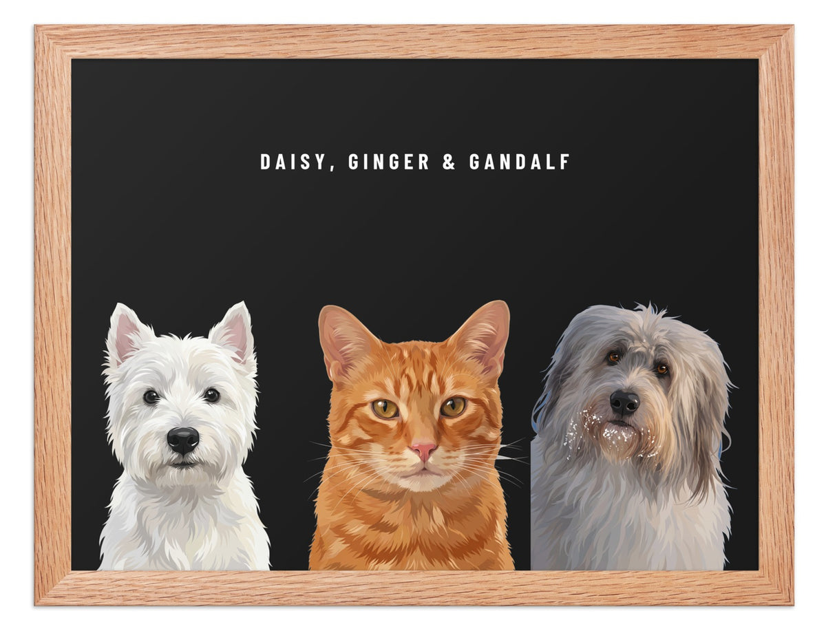 Holiday Custom Three Pet Portrait (Oak Frame): Daisy the West Highland White Terrier & Ginger the orange tabby cat & Gandalf the Sheepdog on a Obsidian background. [ks Style=Oak Frame; Background=Obsidian]