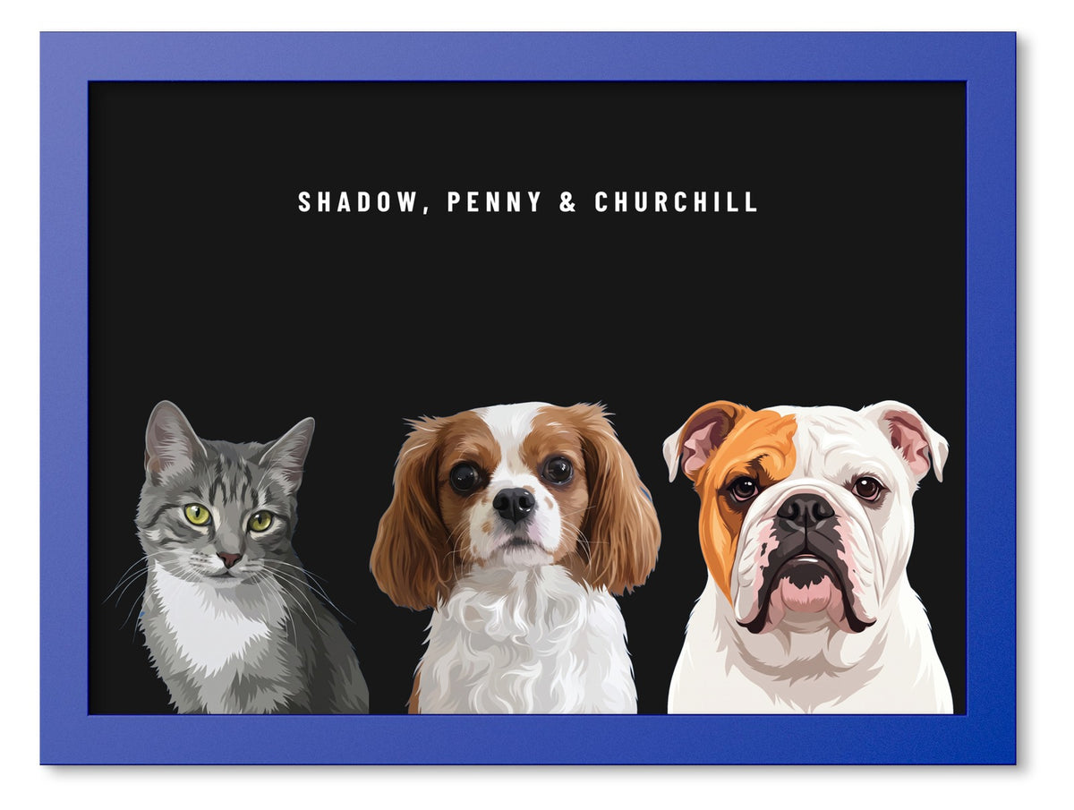 Custom Three Pet Portrait Coloured Frame Print (Ocean Blue): Shadow the grey tabby cat & Penny the Cavalier King Charles Spaniel & Churchill the English Bulldog on a Obsidian background. [ks Frame Colour=Ocean Blue; Background=Obsidian]