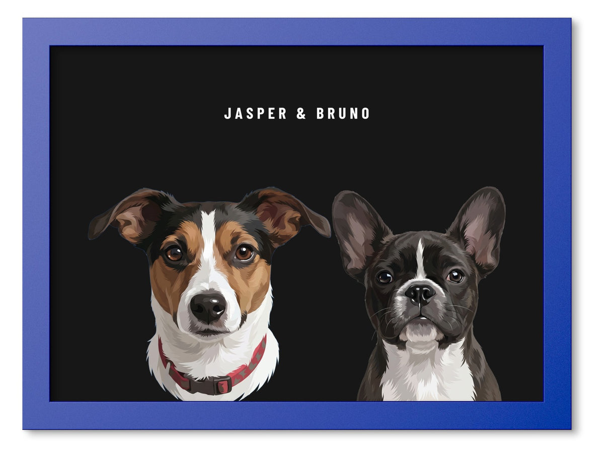 Custom Two Pet Portrait Coloured Frame Print (Ocean Blue): Jasper the Jack Russell Terrier & Bruno the French Bulldog on a Obsidian background. [ks Frame Colour=Ocean Blue; Background=Obsidian]
