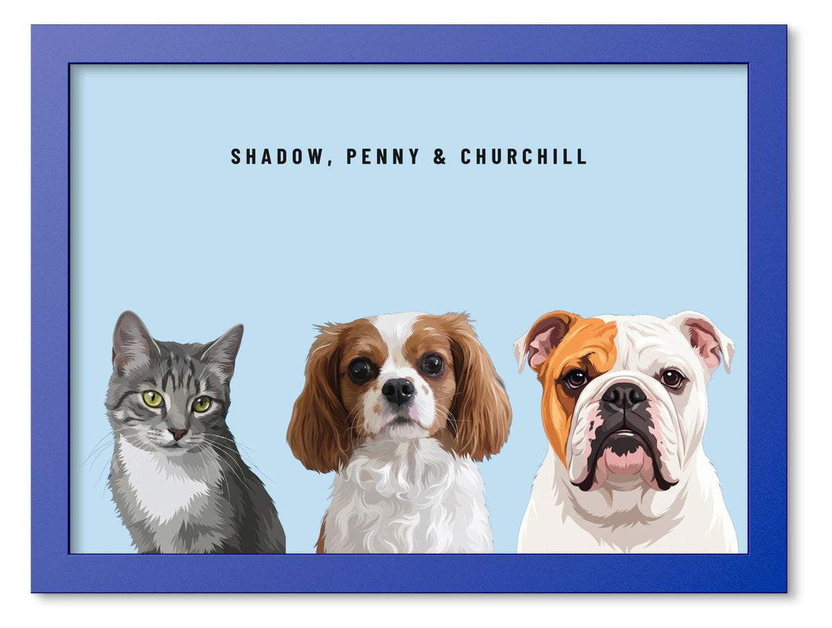 Custom Three Pet Portrait Coloured Frame Print (Ocean Blue): Shadow the grey tabby cat & Penny the Cavalier King Charles Spaniel & Churchill the English Bulldog on a Sky background. [ks Frame Colour=Ocean Blue; Background=Sky]