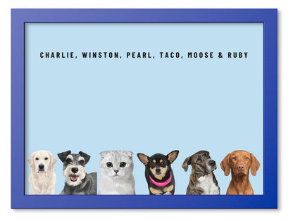 Custom Six Pet Portrait Coloured Frame Print (Ocean Blue): Charlie the Golden Retriever & Winston the Miniature Schnauzer & Pearl the Scottish Fold cat & Taco the Chihuahua & Moose the mixed-breed dog & Ruby the Vizsla on a Sky background. [ks Frame Colour=Ocean Blue; Background=Sky]