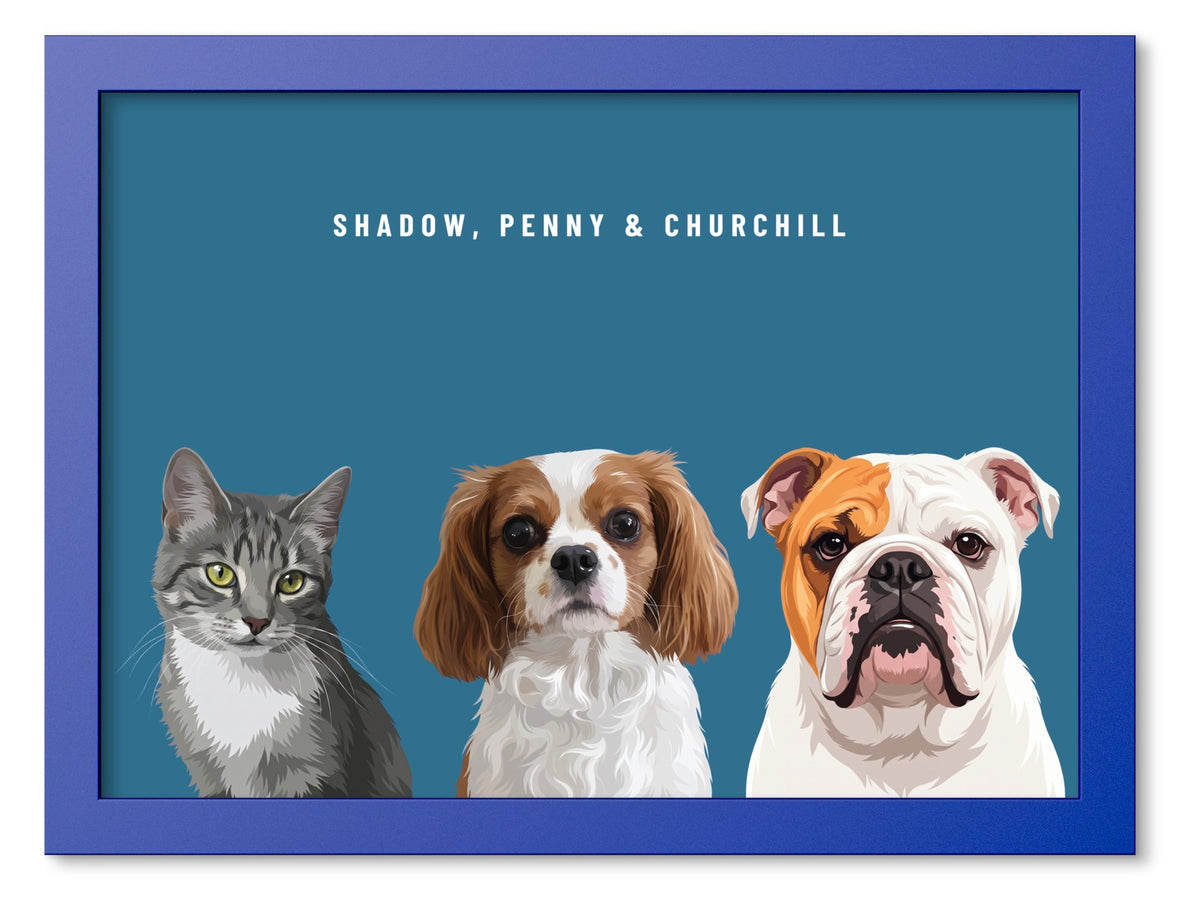 Custom Three Pet Portrait Coloured Frame Print (Ocean Blue): Shadow the grey tabby cat & Penny the Cavalier King Charles Spaniel & Churchill the English Bulldog on a Ocean background. [ks Frame Colour=Ocean Blue; Background=Ocean]