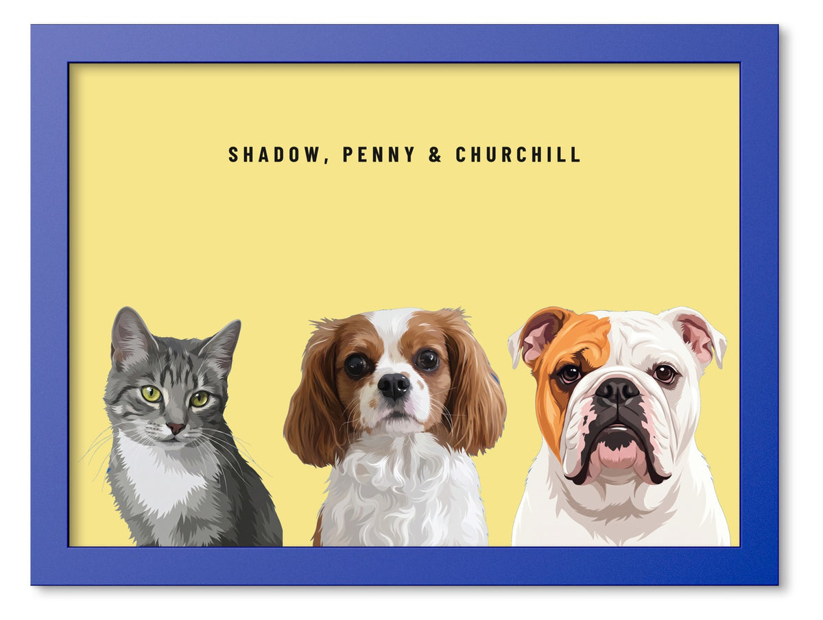 Custom Three Pet Portrait Coloured Frame Print (Ocean Blue): Shadow the grey tabby cat & Penny the Cavalier King Charles Spaniel & Churchill the English Bulldog on a Lemon background. [ks Frame Colour=Ocean Blue; Background=Lemon]