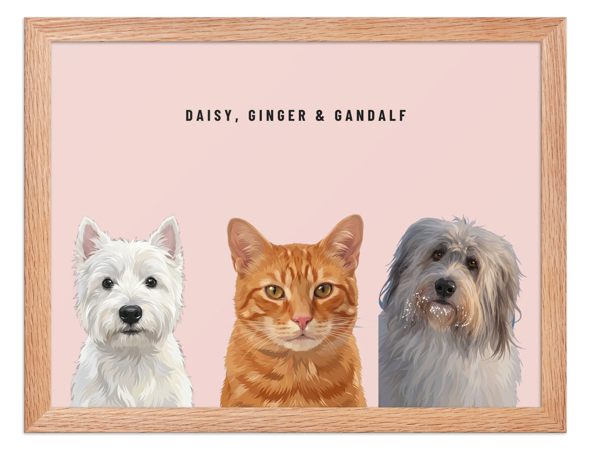 Holiday Custom Three Pet Portrait (Oak Frame): Daisy the West Highland White Terrier & Ginger the orange tabby cat & Gandalf the Sheepdog on a Blush background. [ks Style=Oak Frame; Background=Blush]