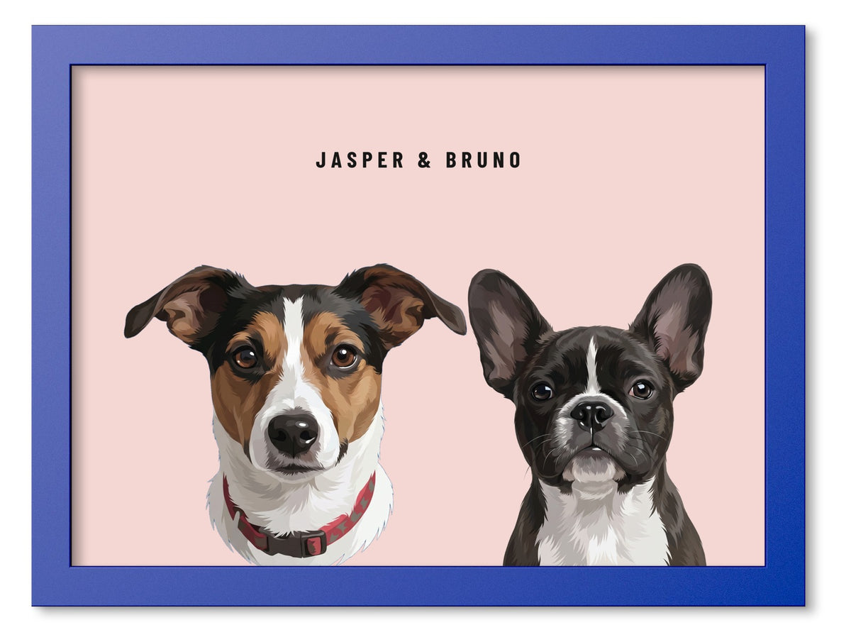 Custom Two Pet Portrait Coloured Frame Print (Ocean Blue): Jasper the Jack Russell Terrier & Bruno the French Bulldog on a Blush background. [ks Frame Colour=Ocean Blue; Background=Blush]