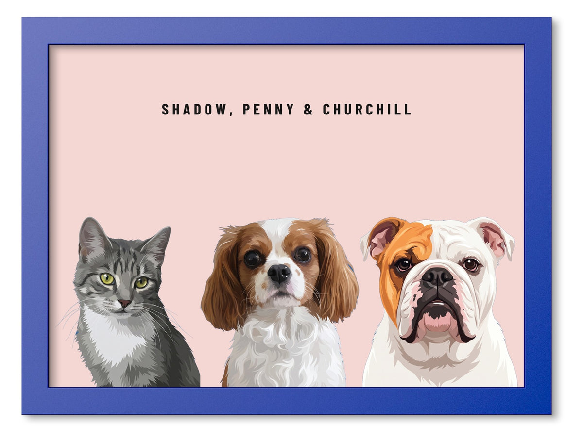 Custom Three Pet Portrait Coloured Frame Print (Ocean Blue): Shadow the grey tabby cat & Penny the Cavalier King Charles Spaniel & Churchill the English Bulldog on a Blush background. [ks Frame Colour=Ocean Blue; Background=Blush]