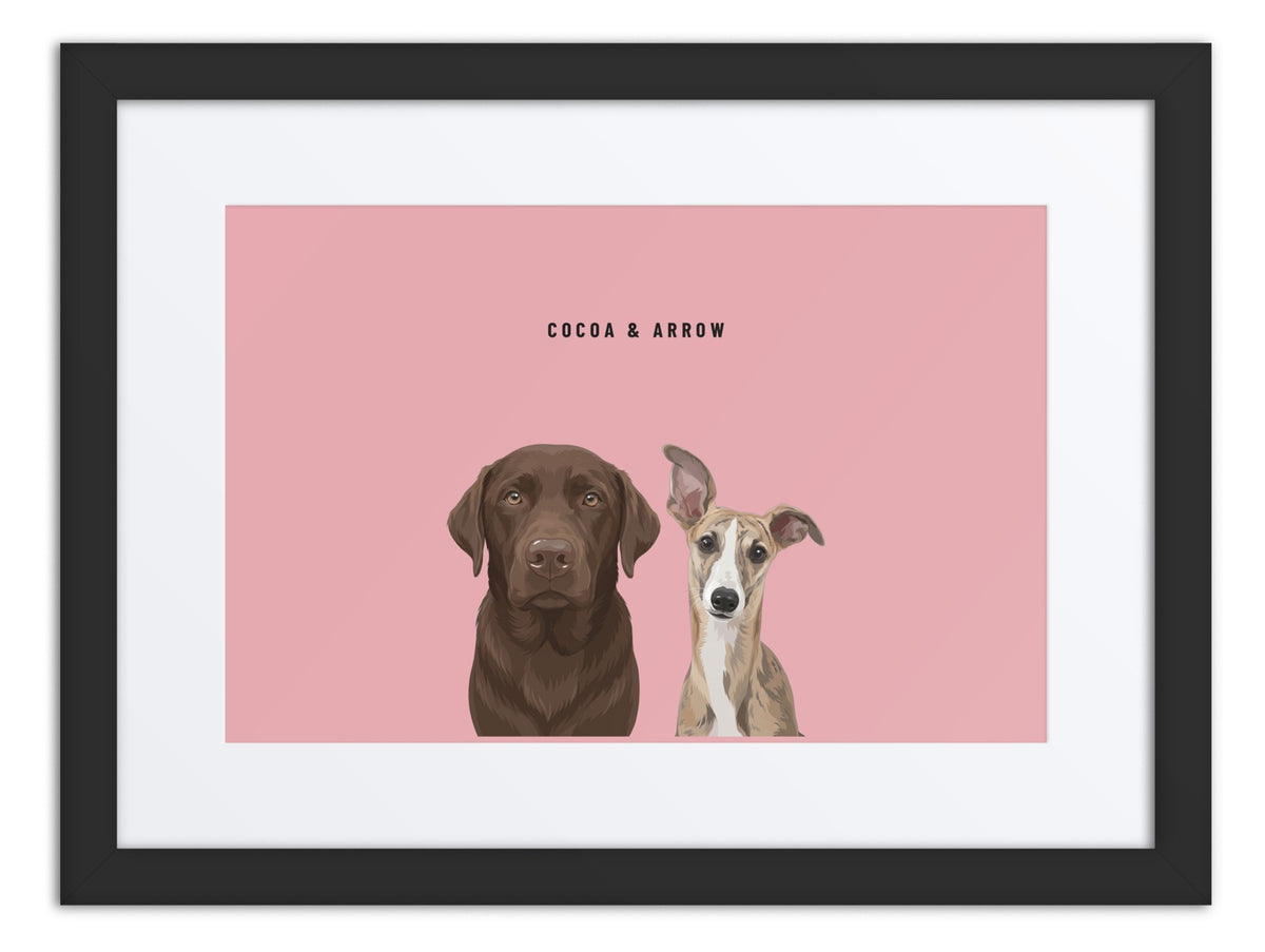 Custom Two Pet Portrait Framed Print (Black + Mat): Cocoa the chocolate Labrador & Arrow the Whippet on a Rose background. [ks Frame=Black + Mat; Background=Rose]