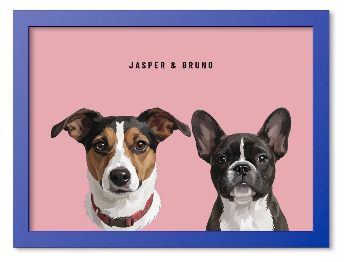 Custom Two Pet Portrait Coloured Frame Print (Ocean Blue): Jasper the Jack Russell Terrier & Bruno the French Bulldog on a Rose background. [ks Frame Colour=Ocean Blue; Background=Rose]