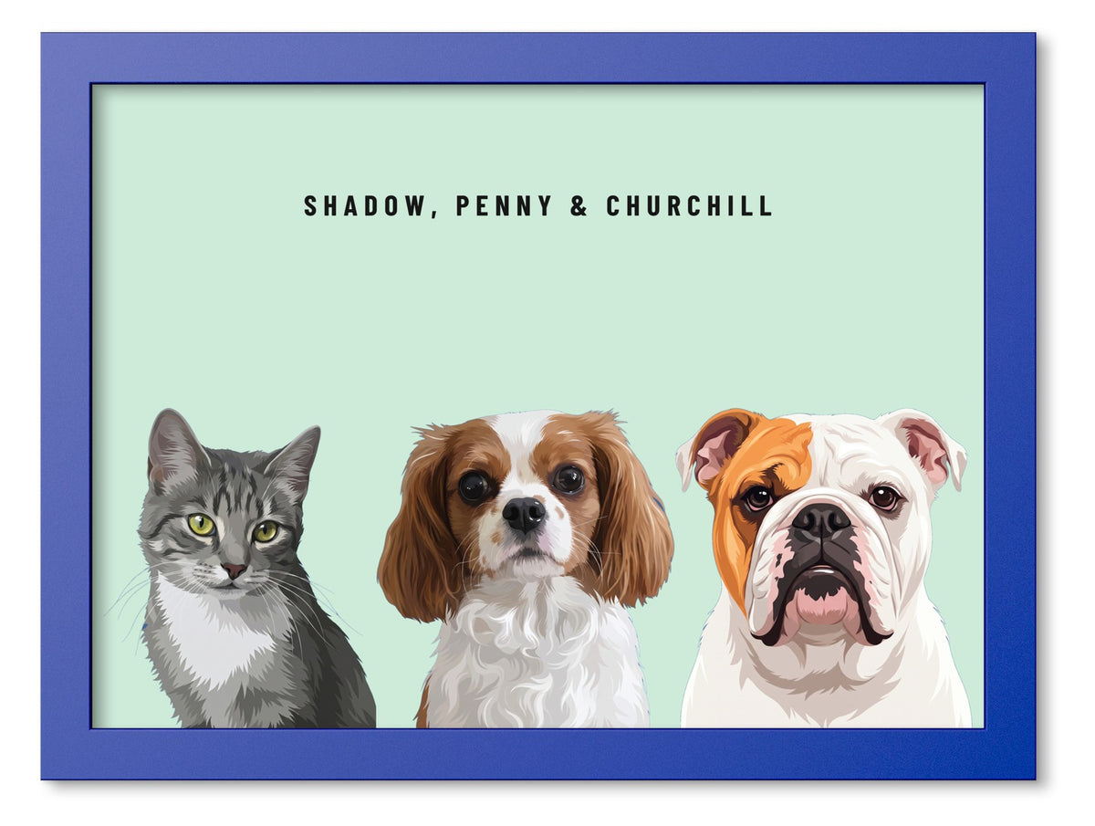 Custom Three Pet Portrait Coloured Frame Print (Ocean Blue): Shadow the grey tabby cat & Penny the Cavalier King Charles Spaniel & Churchill the English Bulldog on a Mint background. [ks Frame Colour=Ocean Blue; Background=Mint]