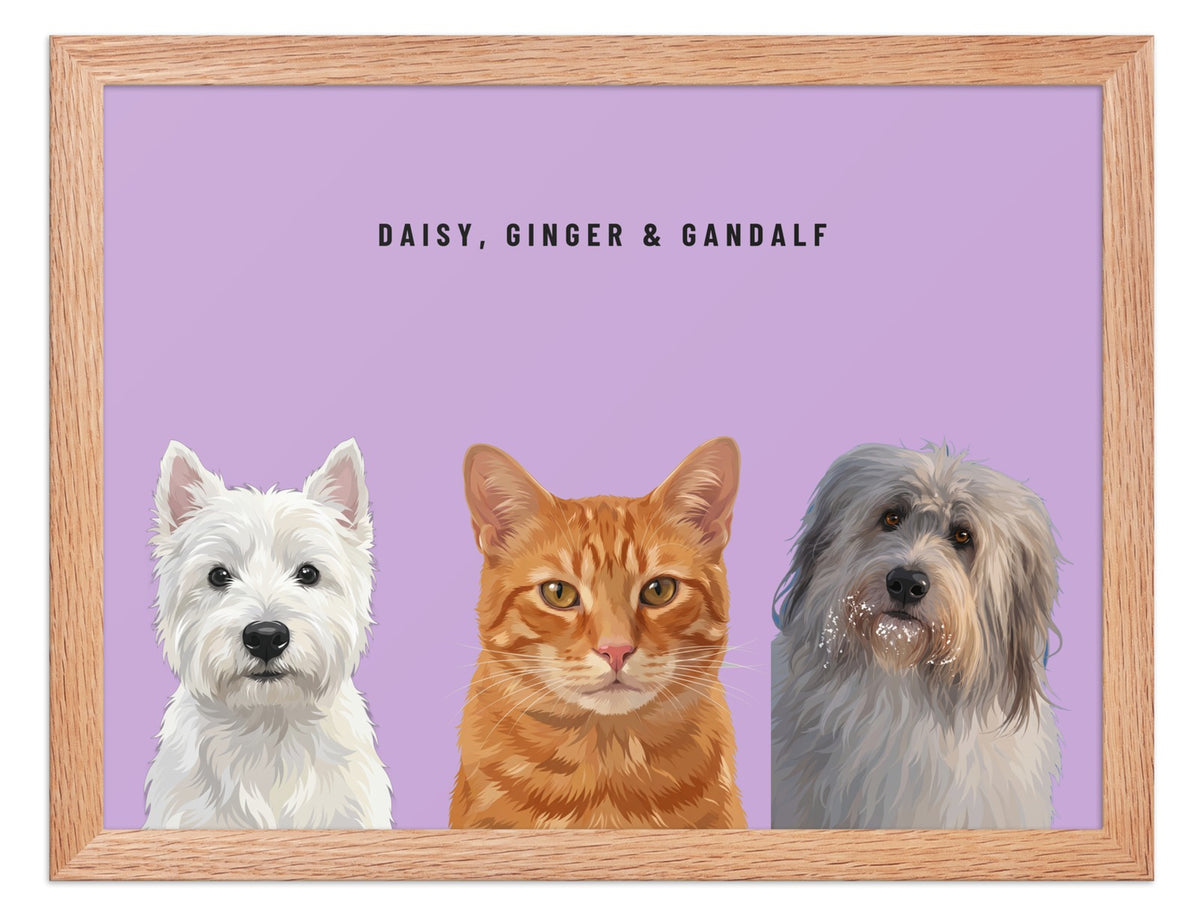 Holiday Custom Three Pet Portrait (Oak Frame): Daisy the West Highland White Terrier & Ginger the orange tabby cat & Gandalf the Sheepdog on a Orchid background. [ks Style=Oak Frame; Background=Orchid]