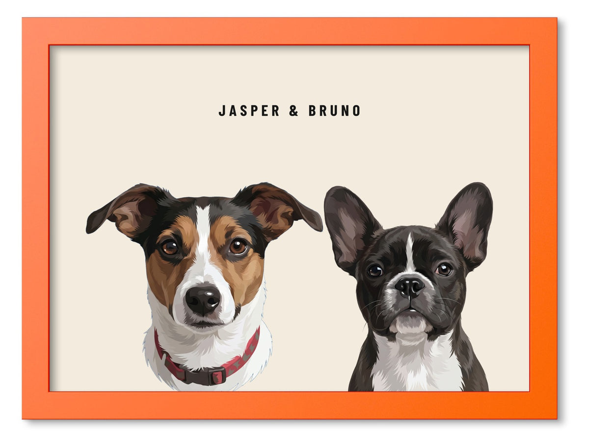 Custom Two Pet Portrait Coloured Frame Print (Orange): Jasper the Jack Russell Terrier & Bruno the French Bulldog on a Cream background. [ks Frame Colour=Orange; Background=Cream]