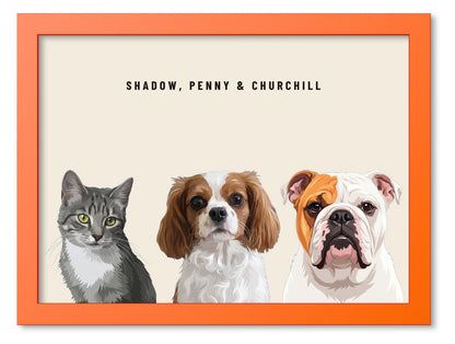 Custom Three Pet Portrait Coloured Frame Print (Orange): Shadow the grey tabby cat & Penny the Cavalier King Charles Spaniel & Churchill the English Bulldog on a Cream background. [ks Frame Colour=Orange; Background=Cream]