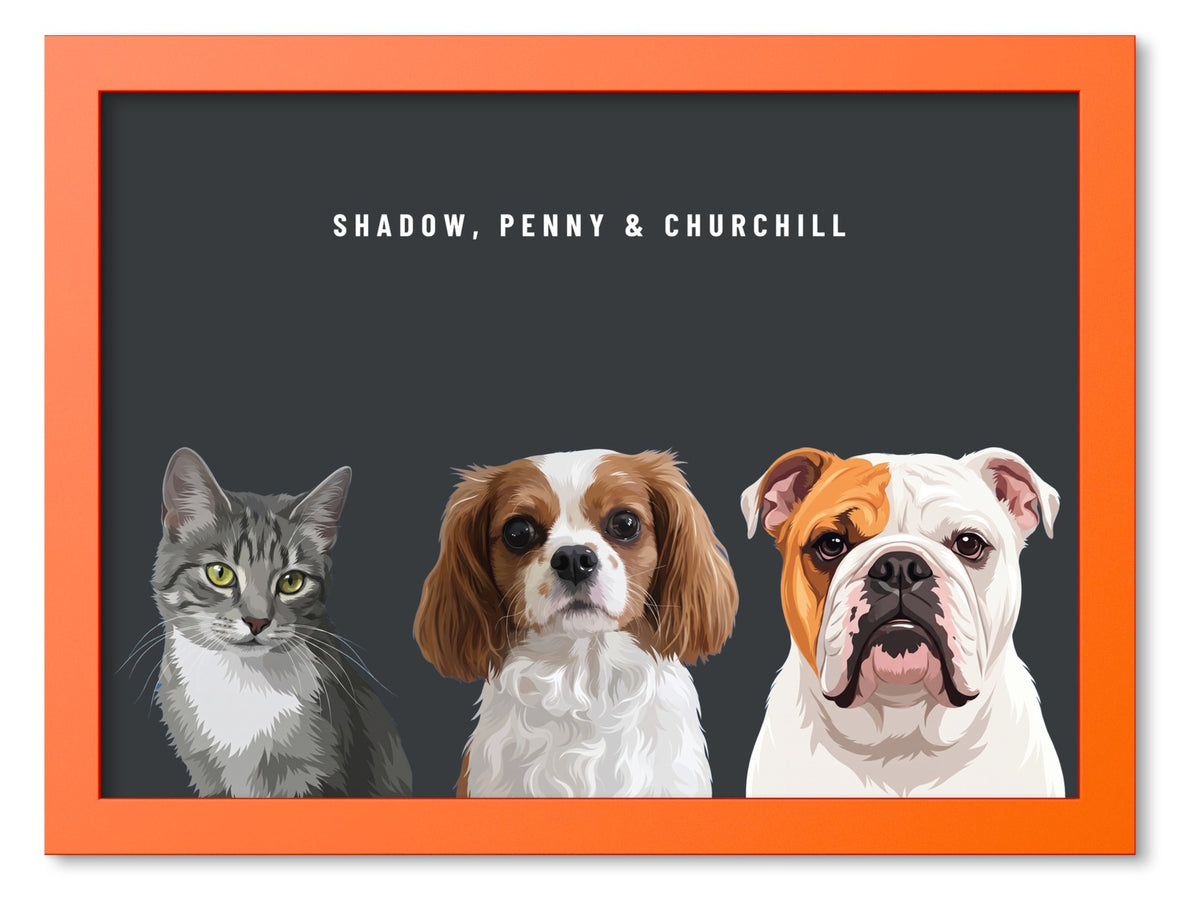 Custom Three Pet Portrait Coloured Frame Print (Orange): Shadow the grey tabby cat & Penny the Cavalier King Charles Spaniel & Churchill the English Bulldog on a Charcoal background. [ks Frame Colour=Orange; Background=Charcoal]