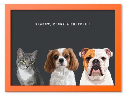 Custom Three Pet Portrait Coloured Frame Print (Orange): Shadow the grey tabby cat & Penny the Cavalier King Charles Spaniel & Churchill the English Bulldog on a Charcoal background. [ks Frame Colour=Orange; Background=Charcoal]