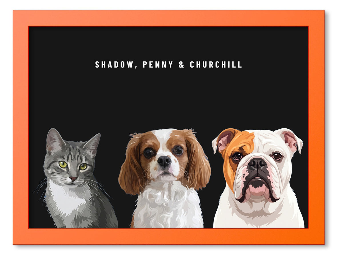 Custom Three Pet Portrait Coloured Frame Print (Orange): Shadow the grey tabby cat & Penny the Cavalier King Charles Spaniel & Churchill the English Bulldog on a Obsidian background. [ks Frame Colour=Orange; Background=Obsidian]