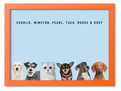 Custom Six Pet Portrait Coloured Frame Print (Orange): Charlie the Golden Retriever & Winston the Miniature Schnauzer & Pearl the Scottish Fold cat & Taco the Chihuahua & Moose the mixed-breed dog & Ruby the Vizsla on a Sky background. [ks Frame Colour=Orange; Background=Sky]