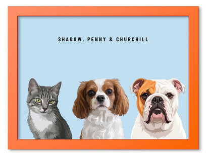 Custom Three Pet Portrait Coloured Frame Print (Orange): Shadow the grey tabby cat & Penny the Cavalier King Charles Spaniel & Churchill the English Bulldog on a Sky background. [ks Frame Colour=Orange; Background=Sky]