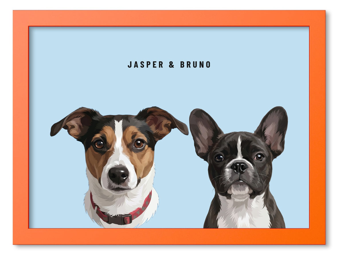Custom Two Pet Portrait Coloured Frame Print (Orange): Jasper the Jack Russell Terrier & Bruno the French Bulldog on a Sky background. [ks Frame Colour=Orange; Background=Sky]