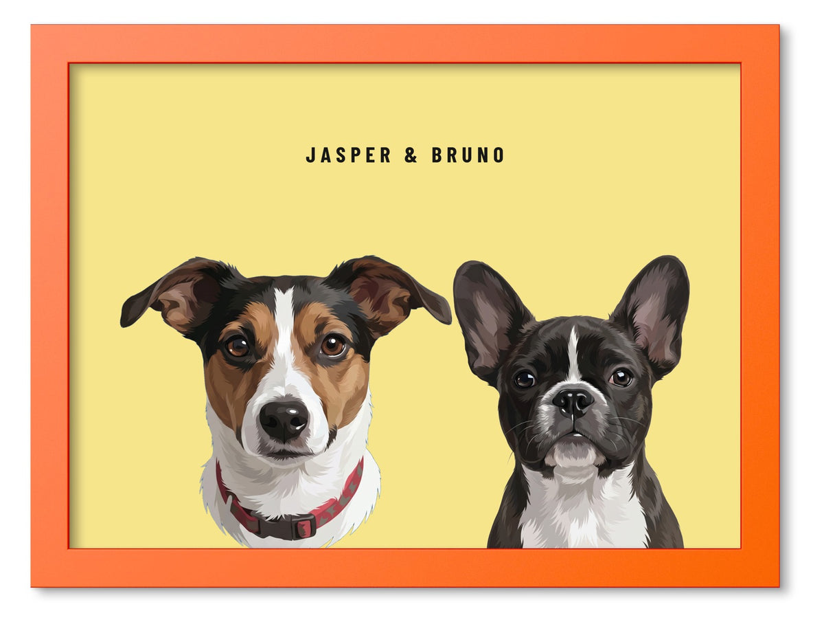 Custom Two Pet Portrait Coloured Frame Print (Orange): Jasper the Jack Russell Terrier & Bruno the French Bulldog on a Lemon background. [ks Frame Colour=Orange; Background=Lemon]