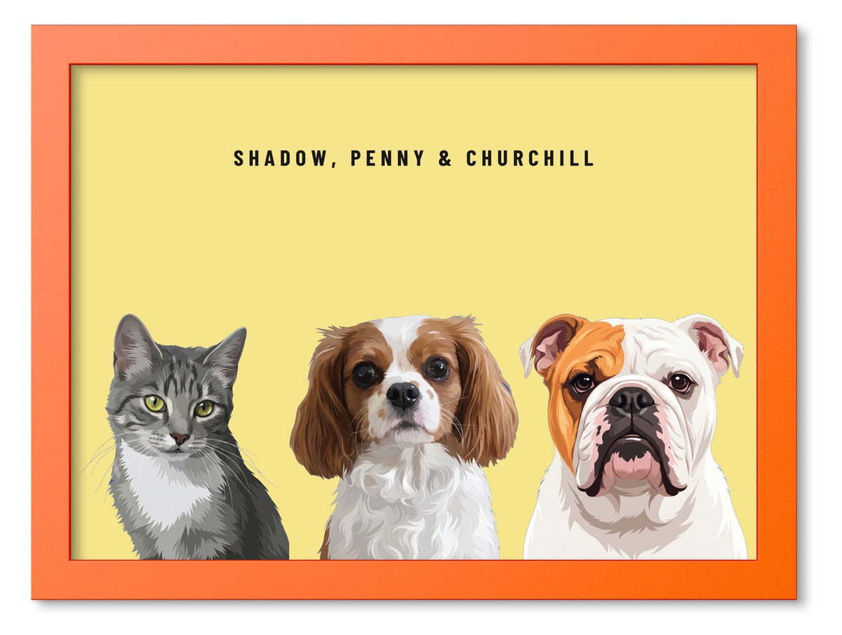 Custom Three Pet Portrait Coloured Frame Print (Orange): Shadow the grey tabby cat & Penny the Cavalier King Charles Spaniel & Churchill the English Bulldog on a Lemon background. [ks Frame Colour=Orange; Background=Lemon]