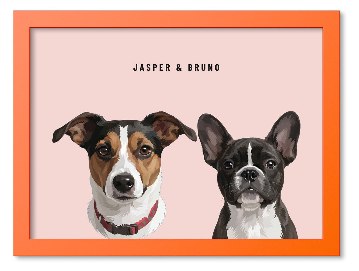 Custom Two Pet Portrait Coloured Frame Print (Orange): Jasper the Jack Russell Terrier & Bruno the French Bulldog on a Blush background. [ks Frame Colour=Orange; Background=Blush]
