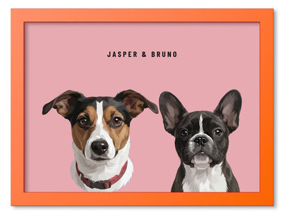 Custom Two Pet Portrait Coloured Frame Print (Orange): Jasper the Jack Russell Terrier & Bruno the French Bulldog on a Rose background. [ks Frame Colour=Orange; Background=Rose]