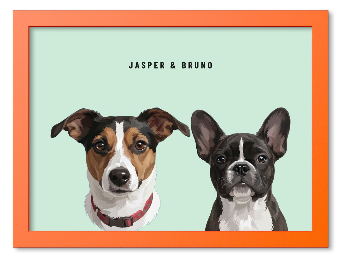 Custom Two Pet Portrait Coloured Frame Print (Orange): Jasper the Jack Russell Terrier & Bruno the French Bulldog on a Mint background. [ks Frame Colour=Orange; Background=Mint]