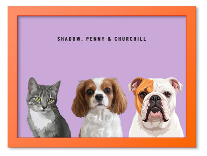 Custom Three Pet Portrait Coloured Frame Print (Orange): Shadow the grey tabby cat & Penny the Cavalier King Charles Spaniel & Churchill the English Bulldog on a Orchid background. [ks Frame Colour=Orange; Background=Orchid]