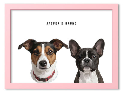 Custom Two Pet Portrait Coloured Frame Print (Pink): Jasper the Jack Russell Terrier & Bruno the French Bulldog on a White background. [ks Frame Colour=Pink; Background=White]