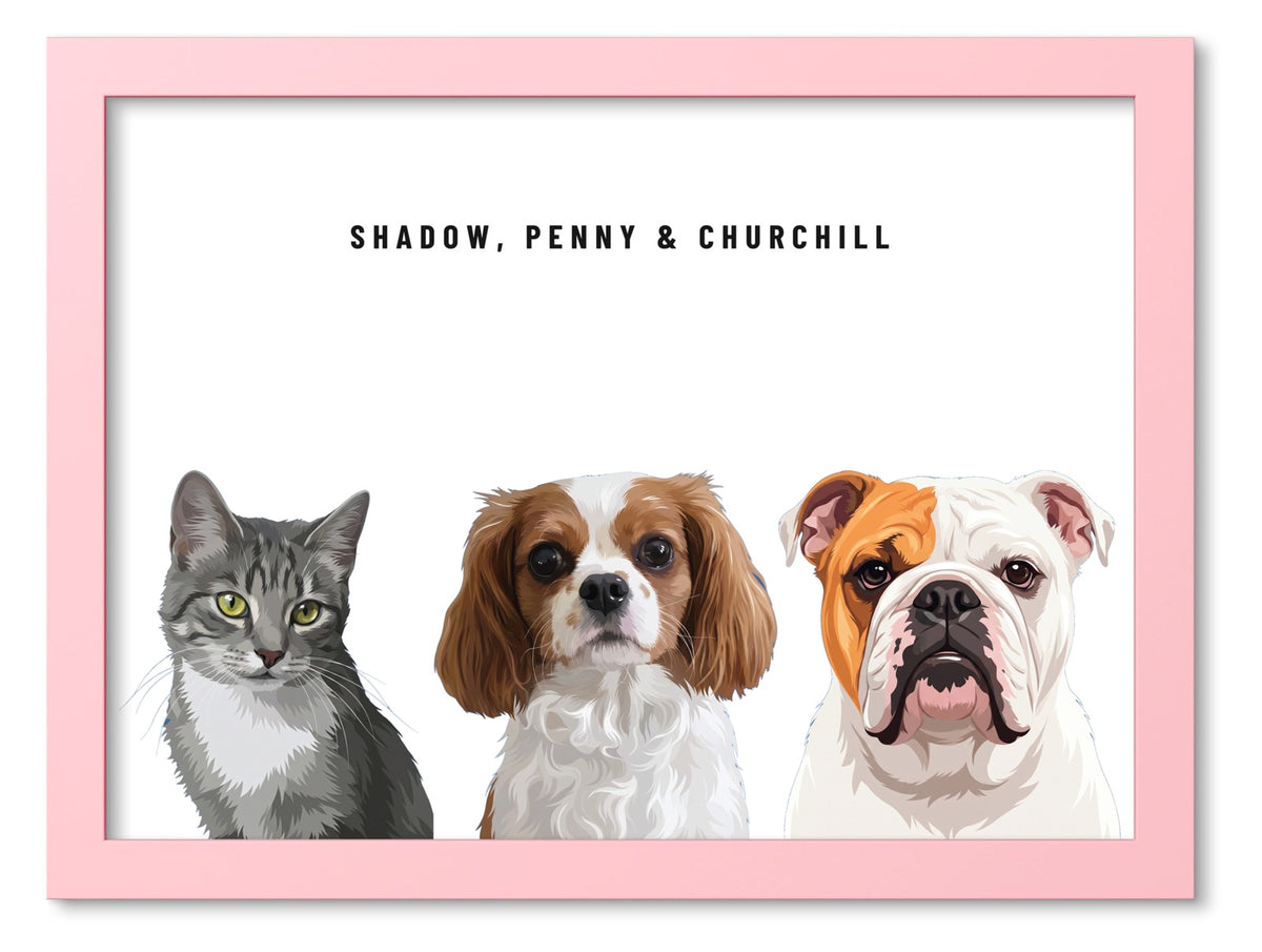 Custom Three Pet Portrait Coloured Frame Print (Pink): Shadow the grey tabby cat & Penny the Cavalier King Charles Spaniel & Churchill the English Bulldog on a White background. [ks Frame Colour=Pink; Background=White]