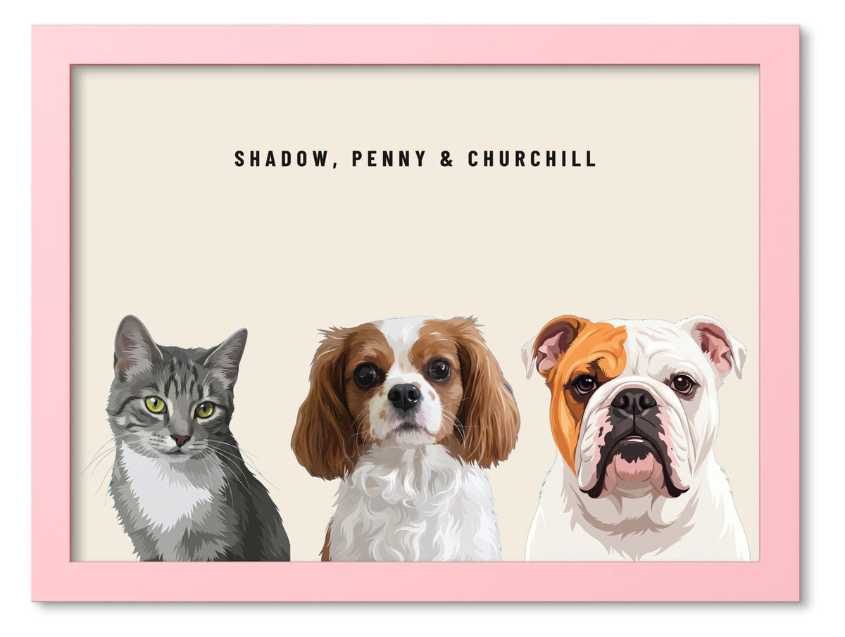 Custom Three Pet Portrait Coloured Frame Print (Pink): Shadow the grey tabby cat & Penny the Cavalier King Charles Spaniel & Churchill the English Bulldog on a Cream background. [ks Frame Colour=Pink; Background=Cream]