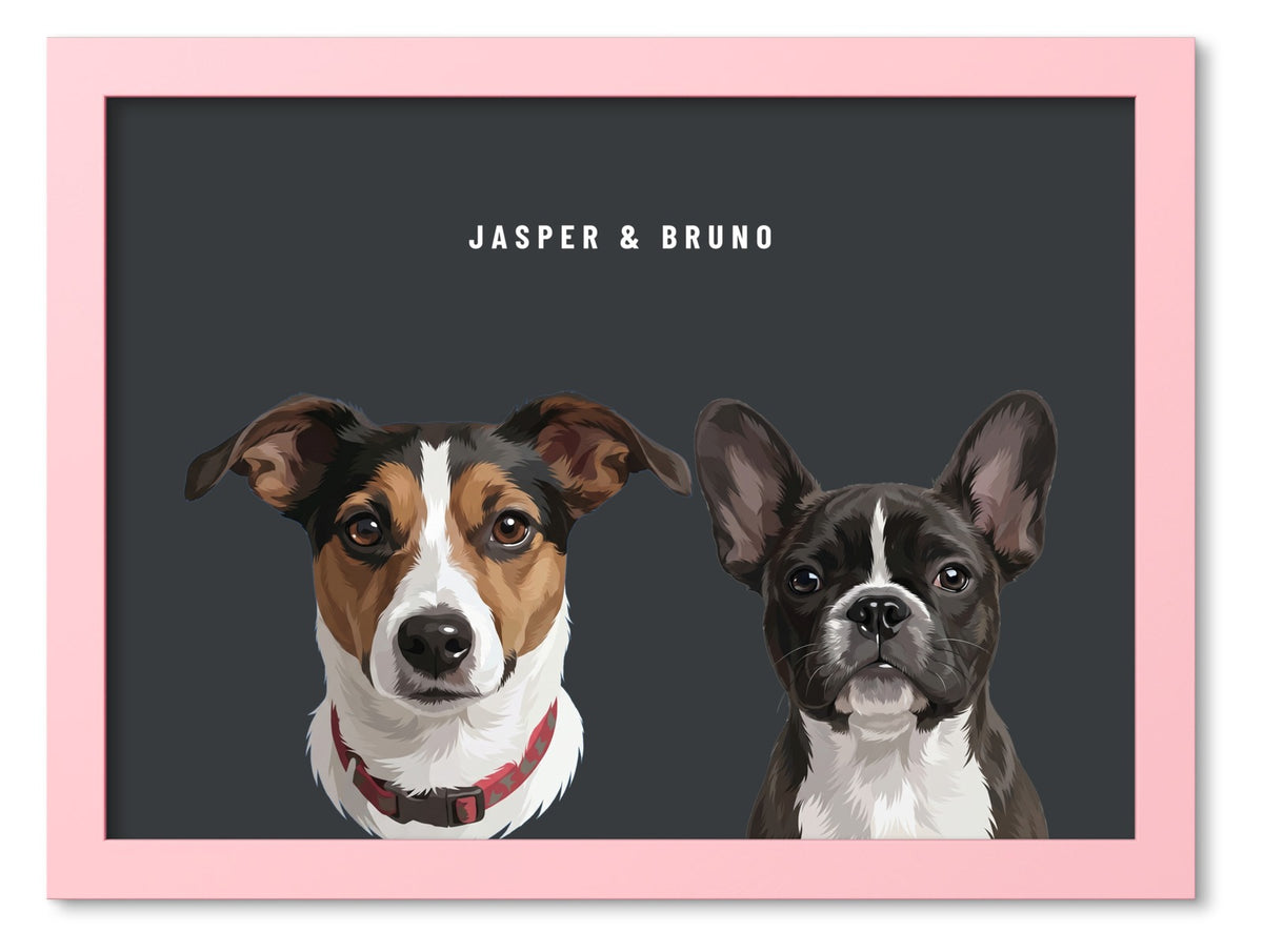 Custom Two Pet Portrait Coloured Frame Print (Pink): Jasper the Jack Russell Terrier & Bruno the French Bulldog on a Charcoal background. [ks Frame Colour=Pink; Background=Charcoal]