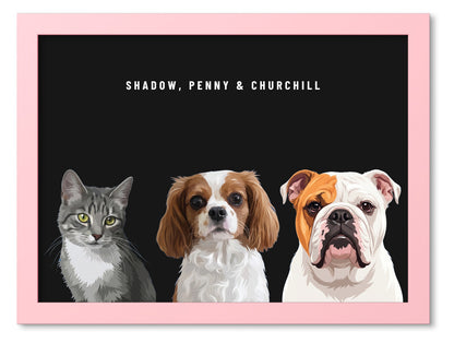Custom Three Pet Portrait Coloured Frame Print (Pink): Shadow the grey tabby cat & Penny the Cavalier King Charles Spaniel & Churchill the English Bulldog on a Obsidian background. [ks Frame Colour=Pink; Background=Obsidian]