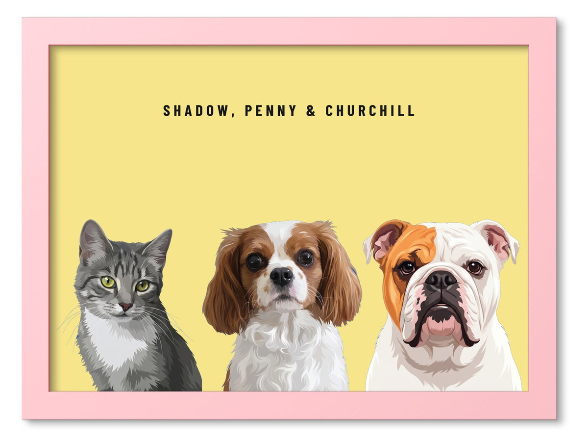 Custom Three Pet Portrait Coloured Frame Print (Pink): Shadow the grey tabby cat & Penny the Cavalier King Charles Spaniel & Churchill the English Bulldog on a Lemon background. [ks Frame Colour=Pink; Background=Lemon]