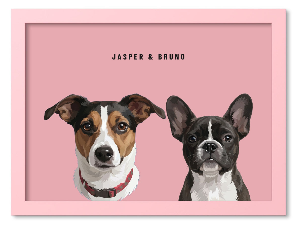 Custom Two Pet Portrait Coloured Frame Print (Pink): Jasper the Jack Russell Terrier & Bruno the French Bulldog on a Rose background. [ks Frame Colour=Pink; Background=Rose]
