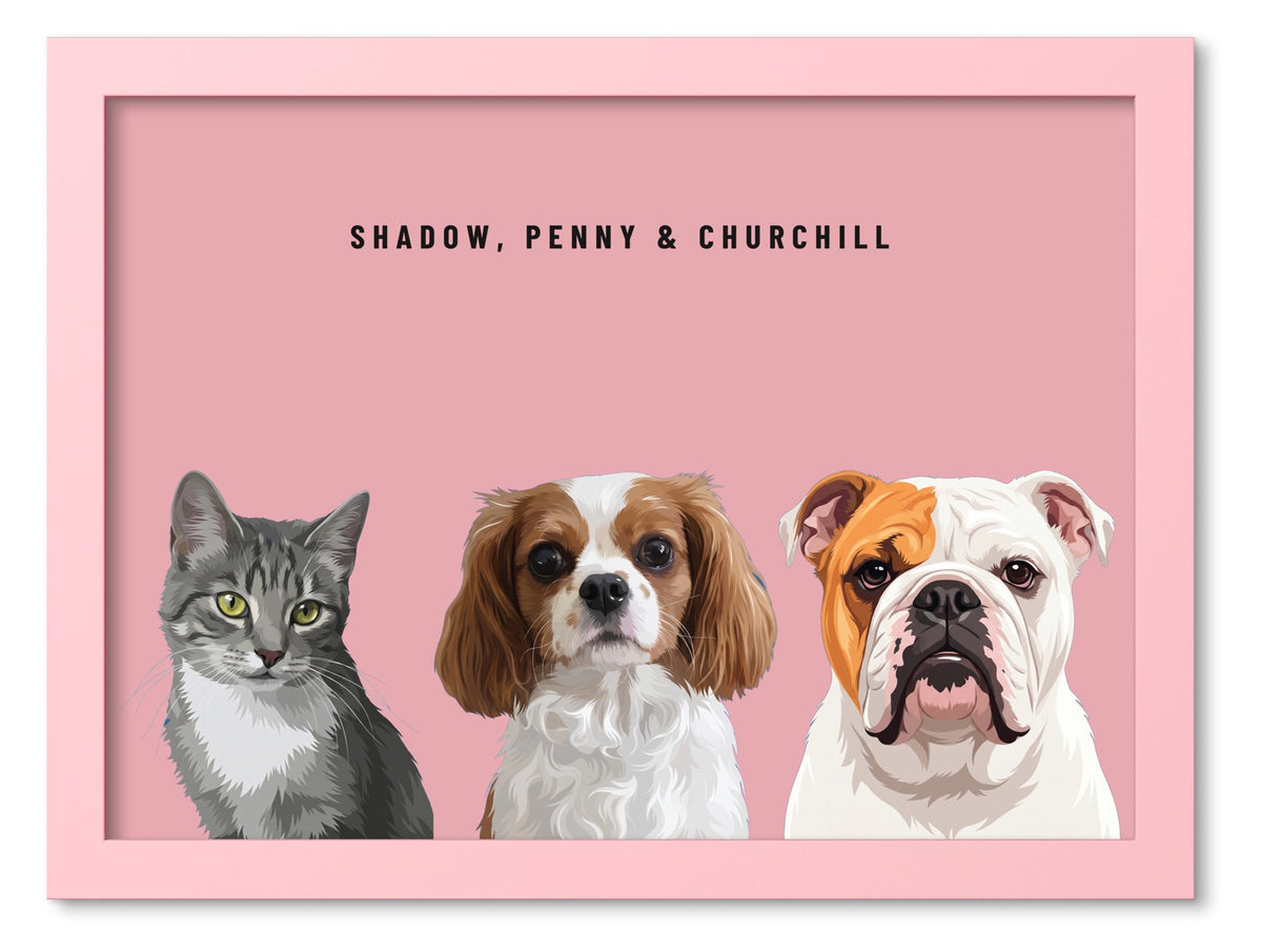 Custom Three Pet Portrait Coloured Frame Print (Pink): Shadow the grey tabby cat & Penny the Cavalier King Charles Spaniel & Churchill the English Bulldog on a Rose background. [ks Frame Colour=Pink; Background=Rose]