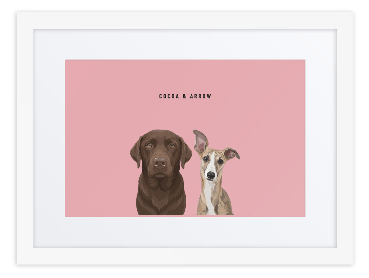 Custom Two Pet Portrait Framed Print (White + Mat): Cocoa the chocolate Labrador & Arrow the Whippet on a Rose background. [ks Frame=White + Mat; Background=Rose]
