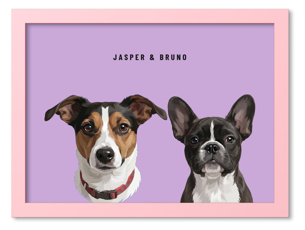 Custom Two Pet Portrait Coloured Frame Print (Pink): Jasper the Jack Russell Terrier & Bruno the French Bulldog on a Orchid background. [ks Frame Colour=Pink; Background=Orchid]