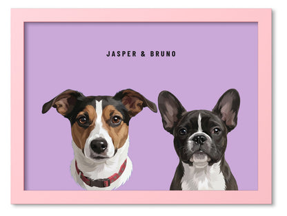 Custom Two Pet Portrait Coloured Frame Print (Pink): Jasper the Jack Russell Terrier & Bruno the French Bulldog on a Orchid background. [ks Frame Colour=Pink; Background=Orchid]