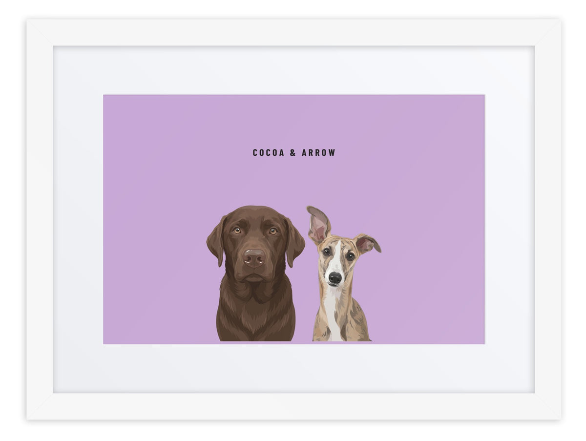 Custom Two Pet Portrait Framed Print (White + Mat): Cocoa the chocolate Labrador & Arrow the Whippet on a Orchid background. [ks Frame=White + Mat; Background=Orchid]