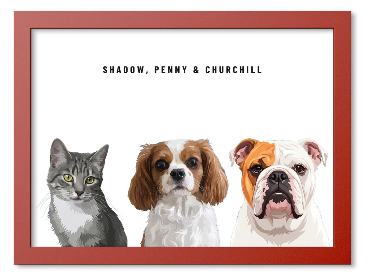 Custom Three Pet Portrait Coloured Frame Print (Red): Shadow the grey tabby cat & Penny the Cavalier King Charles Spaniel & Churchill the English Bulldog on a White background. [ks Frame Colour=Red; Background=White]